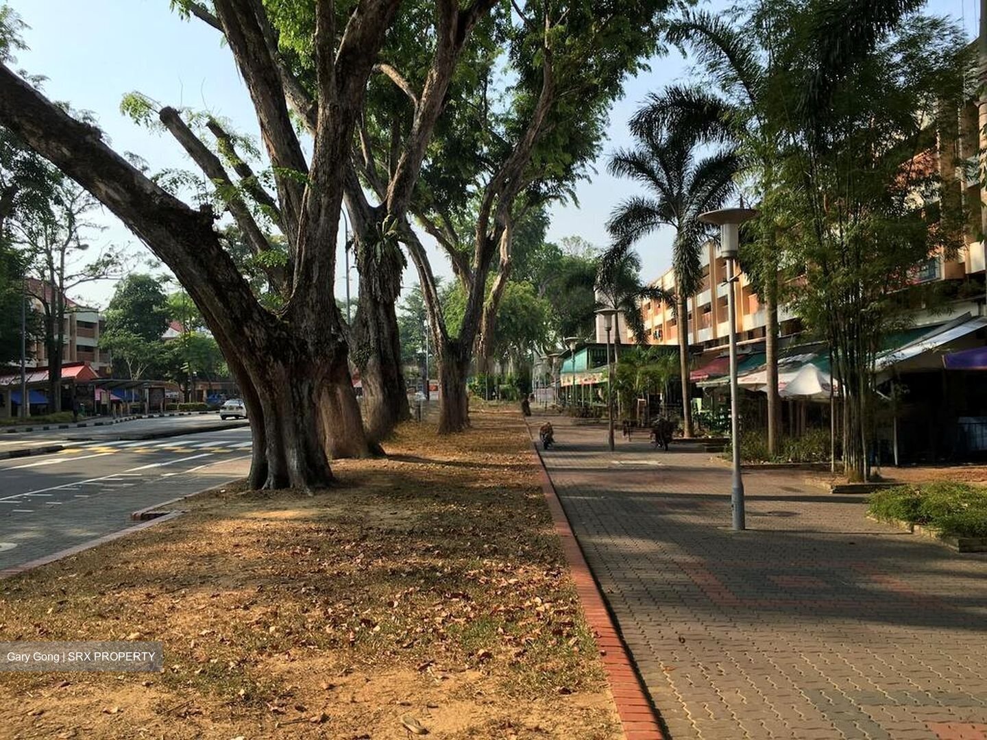 5 CHANGI VILLAGE ROAD (D17), Shop House #456765641